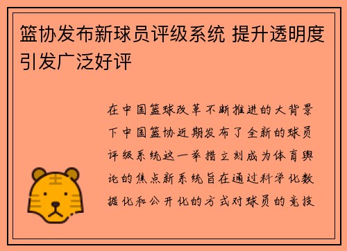 篮协发布新球员评级系统 提升透明度引发广泛好评