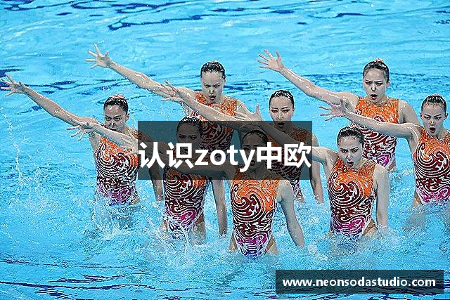 认识zoty中欧